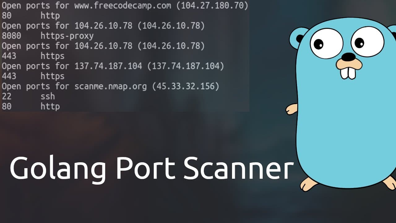 Golang Port Scanner